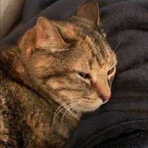 Meet your Posher, Wanda